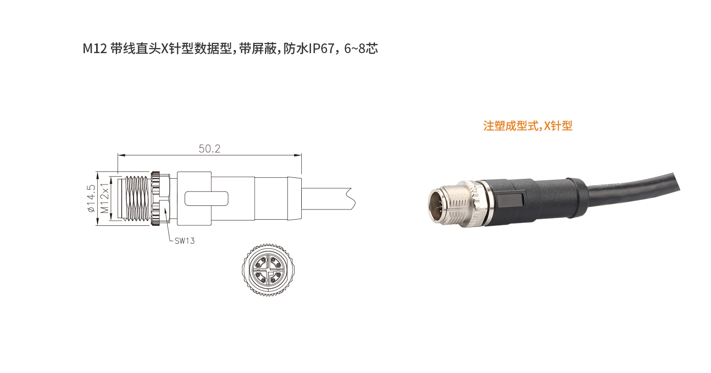 M12 X針型